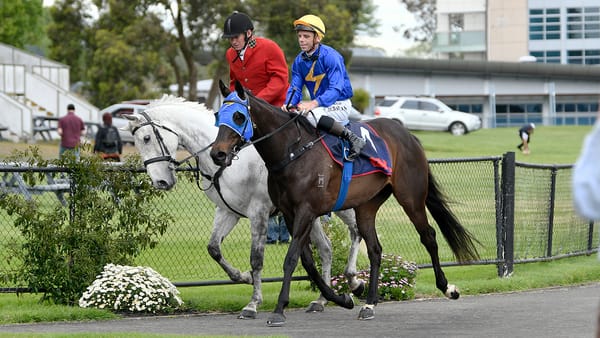 Wolfgang on target with Plan B