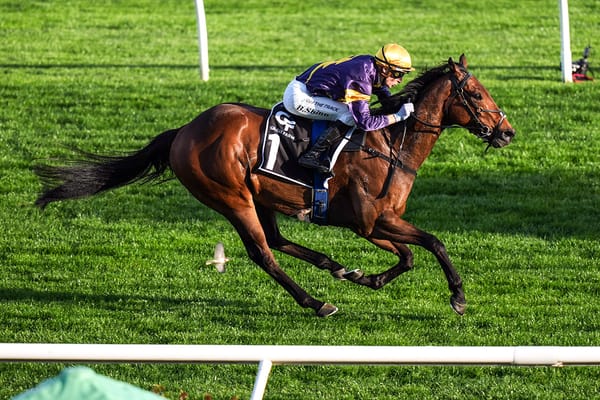 War Machine superb in Everest audition