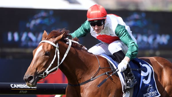 Unbeaten Guineas favourite staying put following sale