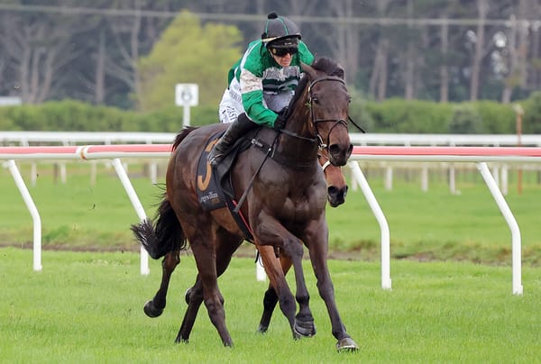 Who Knows stakes New Zealand Cup claim