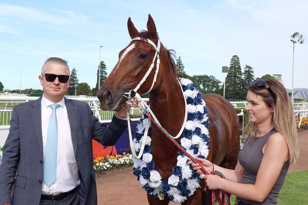 Dates Confirmed for 2026 National Online Yearling Sale