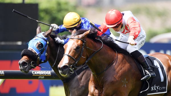 Gerard pair in fine fettle for Guineas defence