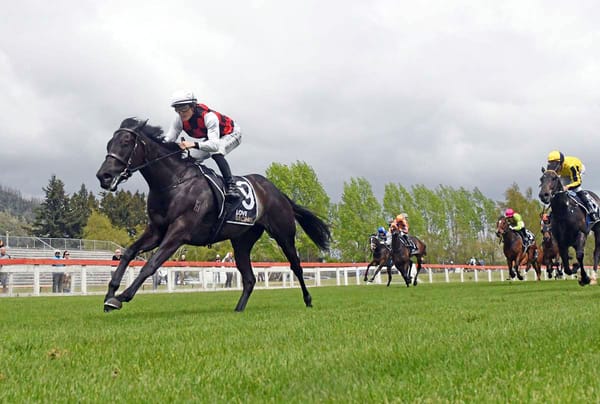 Future focus for progressive Aksil