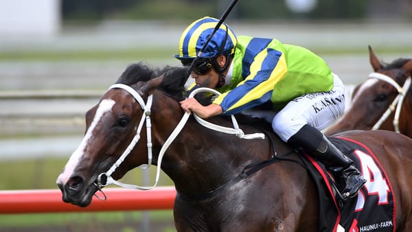 Elsdon stakes double claim at Pukekohe