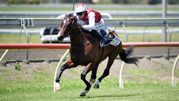 De Armas seals Karaka Millions berth with stylish stakes victory