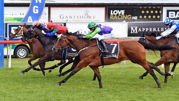 Never say die attitude pays off for Gigi