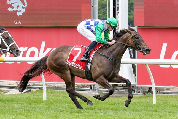 Grid Girl goes back-to-back with Cranbourne success