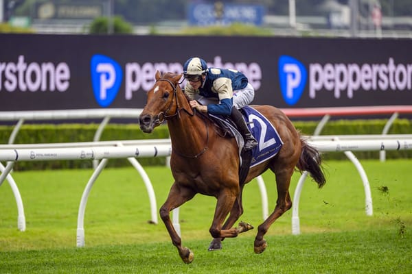 Jimmysstar dominant in Russell Balding Stakes