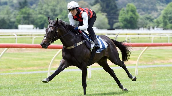 Bridesmaid La Crique in tune for next Group One assignment