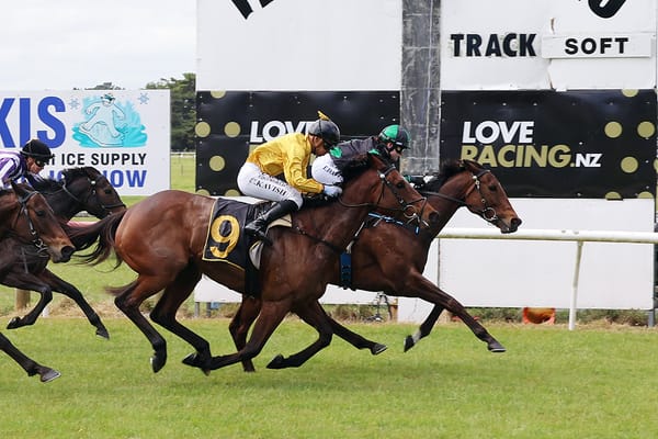 Marotiri Molly all class at Tauherenikau