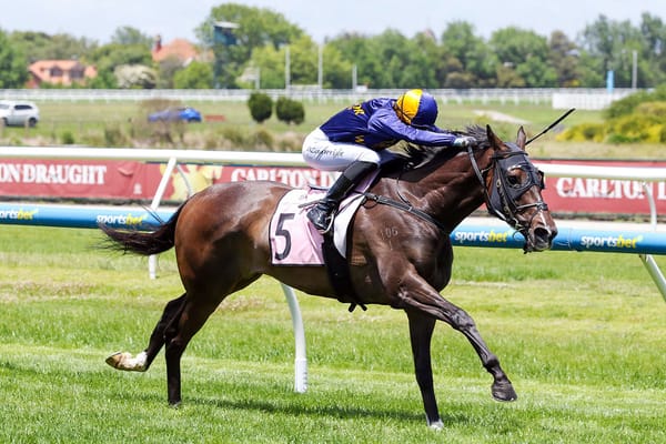 Opening Address rewards patient connections