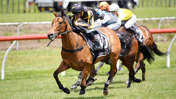 Rising Star lives up to her name with Tauranga upset