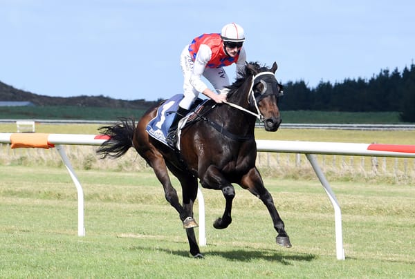 Jack set to sail in Wanganui Cup