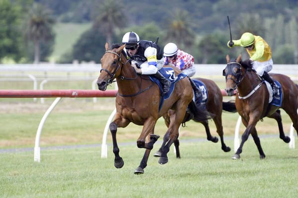 In-form Tellum on target for Wanganui