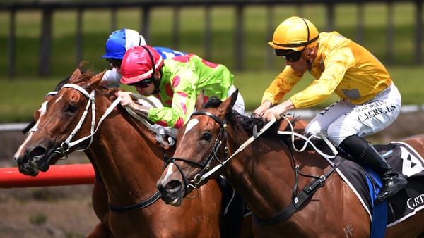 War Princess soars to Tauranga success