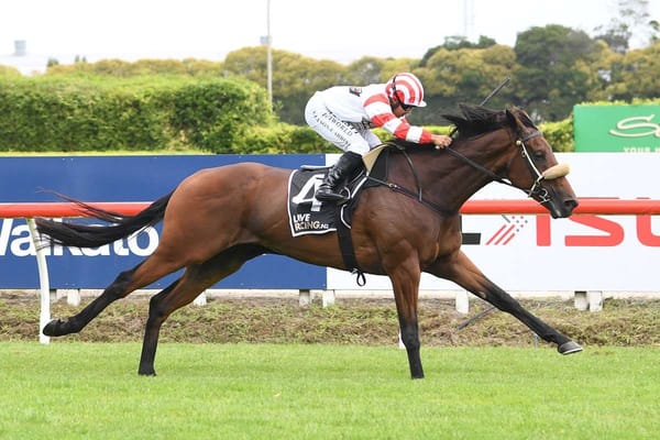 Clotworthy runners seeking to bounce back at Ellerslie