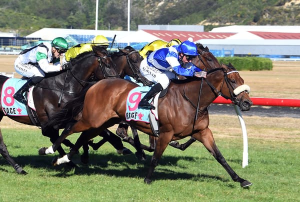 Stablemates up for the Trentham challenge