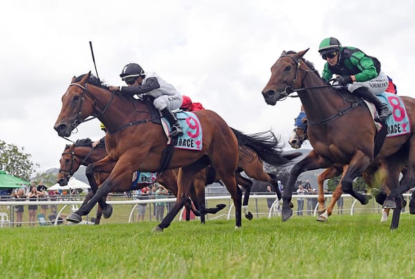 Lux Libertas up to the Manawatu Challenge