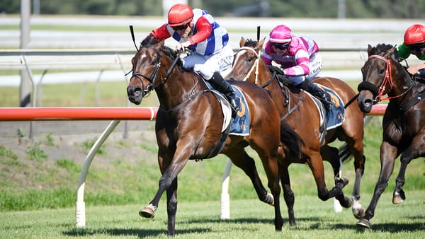 Midnight Edition claims Concorde Stakes