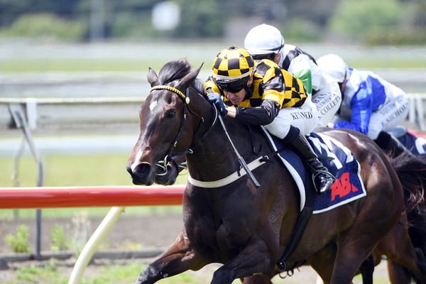 Progressive Mollify loving life in New Zealand