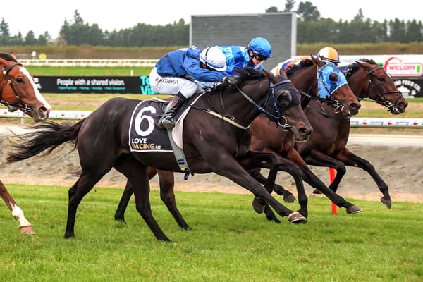 Penvose Lad thriving in Southland