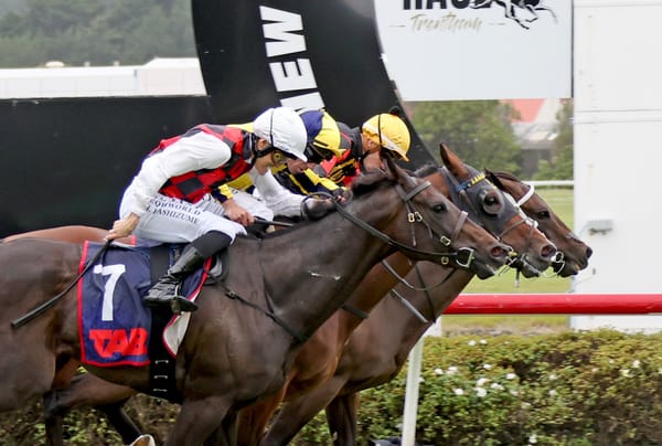 Cooper’s Social Syndicates celebrates another big weekend