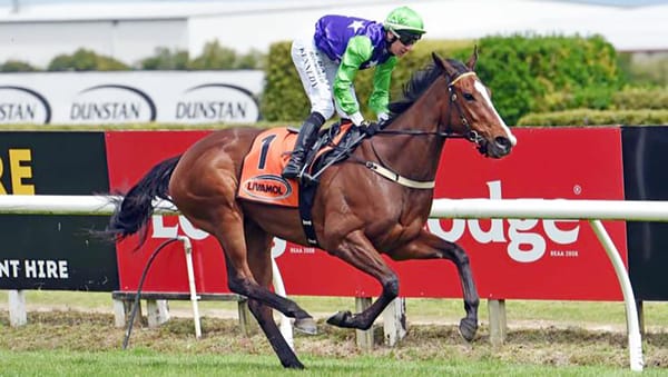 Wexford looking to Te Rapa with proven and fresh talent