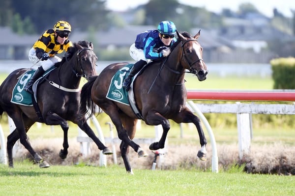 Ace High mare on target for lucrative prizes