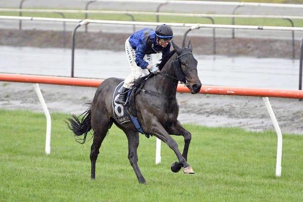Manners the key for Taylor Square in Bonecrusher