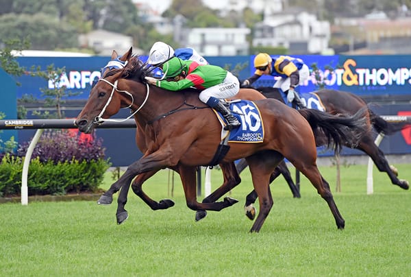 Trav seeking Cups redemption