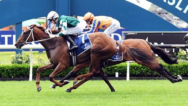 Well Written well ridden in Auckland Guineas triumph