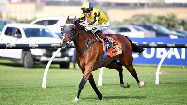 Waitak ticks all boxes ahead of Mufhasa Classic