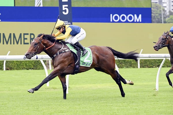 Warwoven impresses on debut