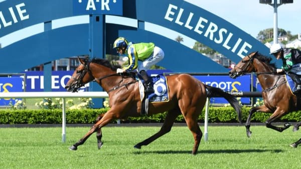 NZ Derby focus on Gingernuts Salver runners