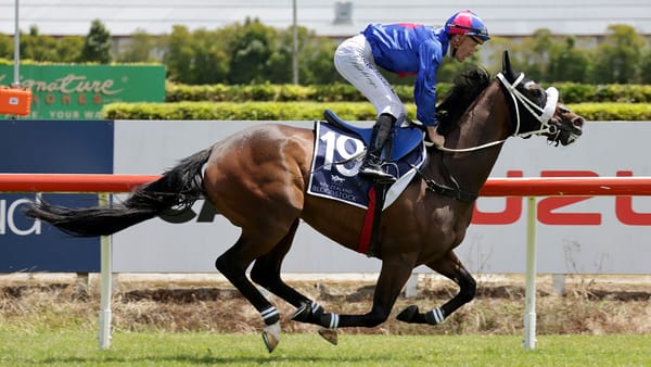 Varied lead-up options for Herbie Dyke Stakes candidates