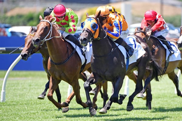 Almanzor Trophy looming for King’s English