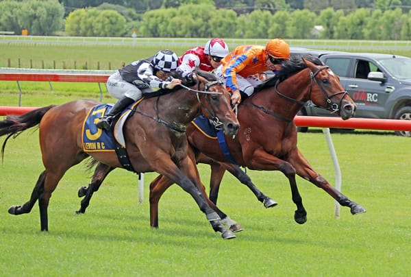 Stakes assignments home and away for Sharrock