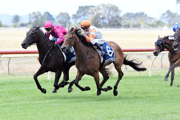 Bradley out to secure home cup