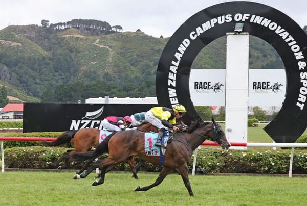 Weight and pedigree queries no bar to Wellington Cup success