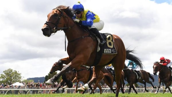 Stakes targets looming for well-related filly