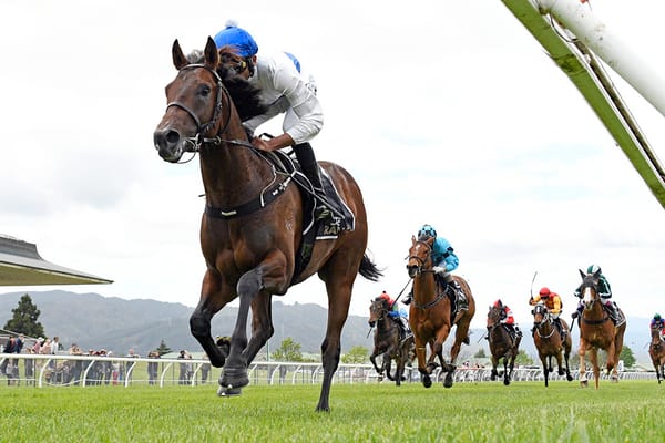 Savaglee camp contemplating first-up targets