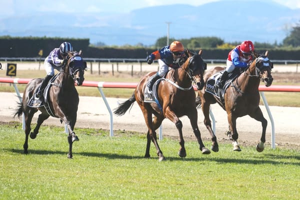 Remutaka Classic plans come together for Shaking Stevens