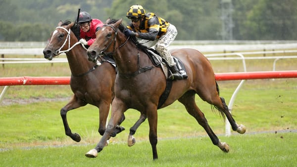 Anxious wait to state the obvious with promising filly