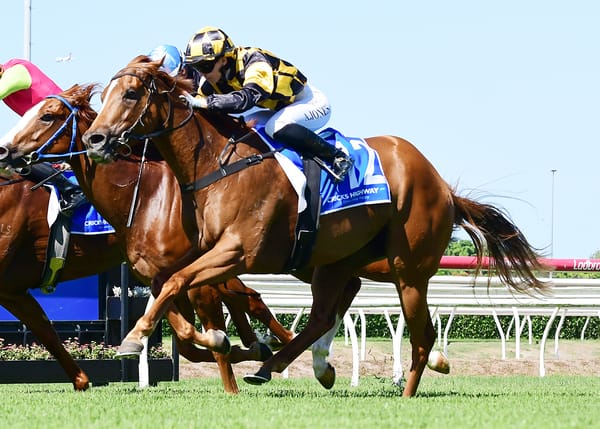 One more roll of the dice for Zoustar mare