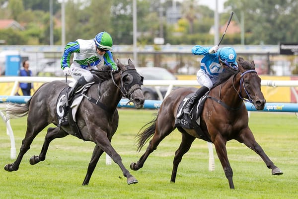 Game Stylish Secret bags another Caulfield win