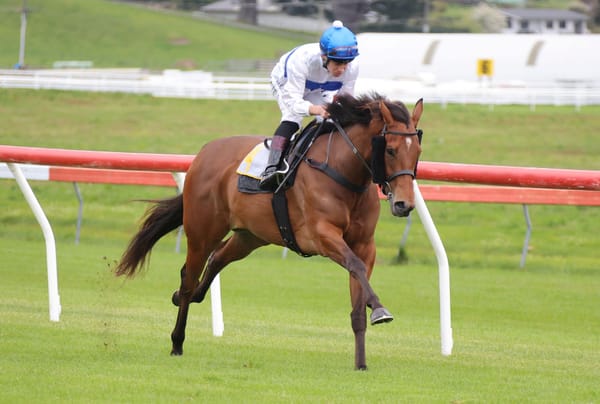 Pukekohe detour pays off for Tajana