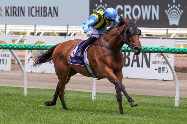 Adelaide Cup on Tarvue’s radar