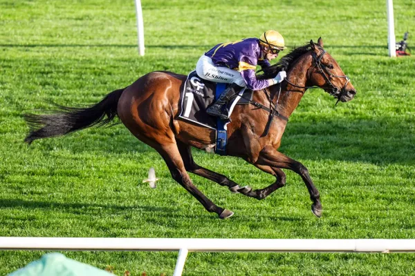 War Machine to target Australia Stakes