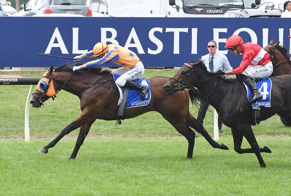 Return To Conquer retired to Waikato Stud