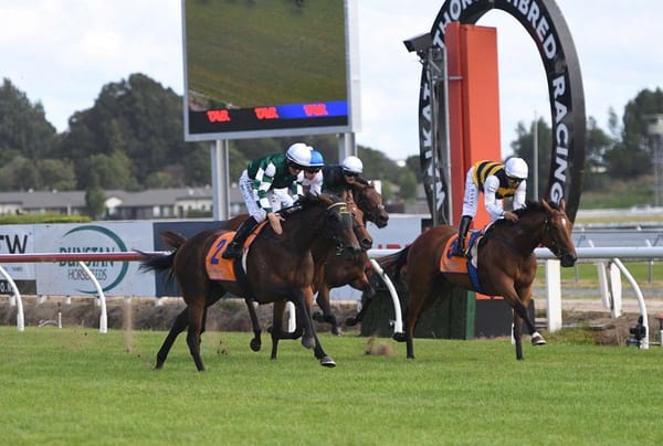 Single Red seeking Oaks redemption